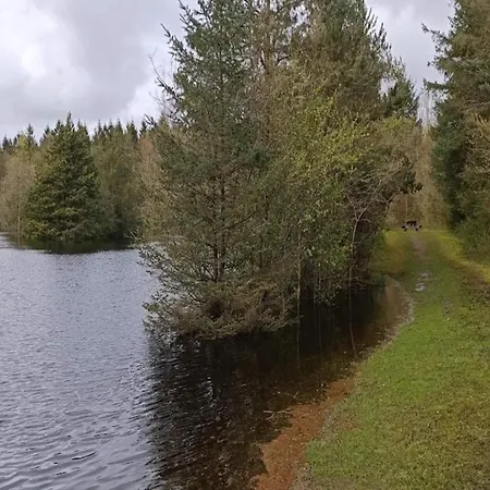 Casa vacanze 4 Person In Oksbol-by Traum Oksbøl